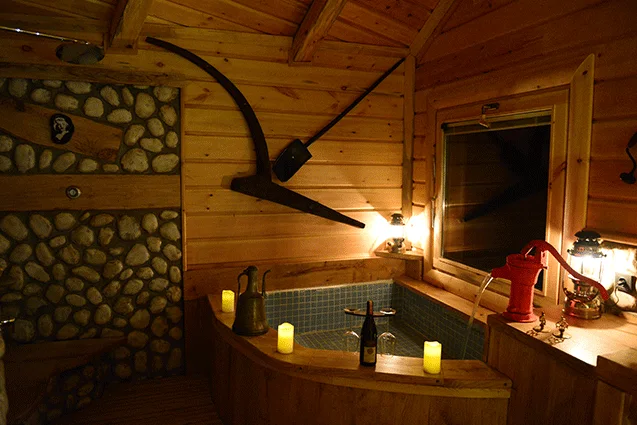 Uykucunun Evi