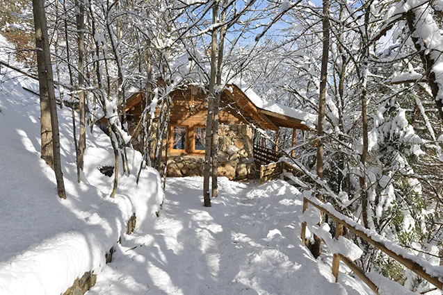 Uykucunun Evi